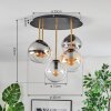 Gastor Plafoniera, Lampada a sfera Ottone, Nero, 5-Luci