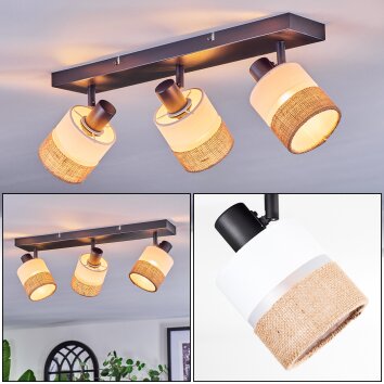 Fallhagen Plafoniera, Faretto da soffitto Nero, 3-Luci