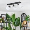 Bassagoda Plafoniera, Faretto da soffitto Nero, 3-Luci