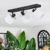Bassagoda Plafoniera, Faretto da soffitto Nero, 3-Luci