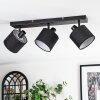 Bassagoda Plafoniera, Faretto da soffitto Nero, 3-Luci