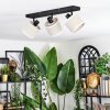 Bassagoda Plafoniera, Faretto da soffitto Nero, 3-Luci