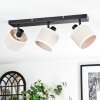 Bassagoda Plafoniera, Faretto da soffitto Nero, 3-Luci