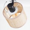 Sabadim Plafoniera, Faretto da soffitto Nero, 3-Luci