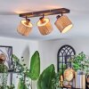 Bongal Plafoniera, Faretto da soffitto Nero, 3-Luci