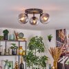 Gastor Plafoniera, Lampada a sfera 25 cm Chiaro, Grigio fumo, 3-Luci