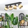 Chellas Plafoniera, Faretto da soffitto Nero, 4-Luci