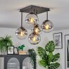 Gastor Plafoniera, Lampada a sfera Chiaro, Grigio fumo, 5-Luci