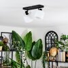 Bassagoda Plafoniera, Faretto da soffitto Nero, 2-Luci