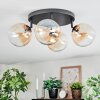 Chehalis Plafoniera, Lampada a sfera Ambrato, Chiaro, 4-Luci Chehalis Plafoniera, Lampada a sfera Ambrato, Chiaro, 4-Luci