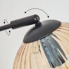 Koyoto Lampada a sfera, Lampada da terra Ambrato, Chiaro, 5-Luci