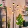 Koyoto Lampada a sfera, Lampada da terra Ambrato, Chiaro, 5-Luci