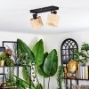 Cavaca Plafoniera, Faretto da soffitto Nero, 2-Luci