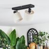 Bassagoda Plafoniera, Faretto da soffitto Nero, 2-Luci
