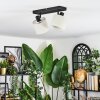 Bassagoda Plafoniera, Faretto da soffitto Nero, 2-Luci