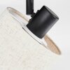 Bassagoda Plafoniera, Faretto da soffitto Nero, 2-Luci