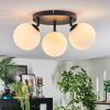 Chehalis Plafoniera, Lampada a sfera 25 cm Bianco, 3-Luci