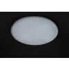 Plafoniera WOFI LINOX LED Bianco, 1-Luce, Cambia colore