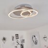 Mohlin Plafoniera LED Nichel opaco, 1-Luce