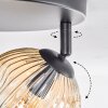 Ripoll Plafoniera, Lampada a sfera Ambrato, Chiaro, Grigio fumo, 3-Luci