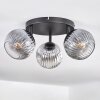 Ripoll Plafoniera, Lampada a sfera Chiaro, Grigio fumo, 3-Luci