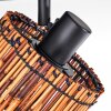 Cando Plafoniera, Faretto da soffitto Nero, 4-Luci