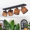 Cando Plafoniera, Faretto da soffitto Nero, 4-Luci