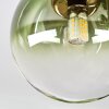 Chehalis Plafoniera, Lampada a sfera Oro, Nero, 8-Luci