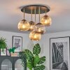 Ripoll Plafoniera, Lampada a sfera Ottone, Nero, 5-Luci