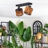 Cando Plafoniera, Faretto da soffitto Nero, 2-Luci