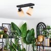 Lindberg Plafoniera, Faretto da soffitto Nero, 2-Luci
