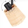 Lindberg Plafoniera, Faretto da soffitto Nero, 2-Luci