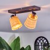 Lindberg Plafoniera, Faretto da soffitto Nero, 2-Luci