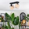 Bongal Plafoniera, Faretto da soffitto Nero, 2-Luci