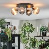 Chehalis Plafoniera, Lampada a sfera Ambrato, Grigio fumo, 4-Luci