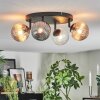 Chehalis Plafoniera, Lampada a sfera Ambrato, Chiaro, Grigio fumo, 4-Luci