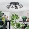 Chehalis Plafoniera, Lampada a sfera Grigio fumo, 4-Luci