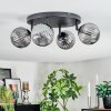 Chehalis Plafoniera, Lampada a sfera Grigio fumo, 4-Luci