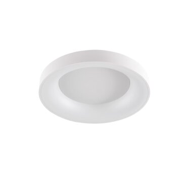 WOFI CAMERON Plafoniera LED Bianco, 1-Luce, Telecomando