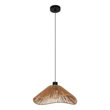 Illuminazione Eglo LAVISTER Lampadario a sospensione Nero, 1-Luce