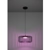 Illuminazione Eglo GINESTRONE-Z Lampadario a sospensione LED Nero, 1-Luce, Cambia colore
