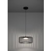 Illuminazione Eglo GINESTRONE-Z Lampadario a sospensione LED Nero, 1-Luce, Cambia colore