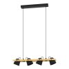 Illuminazione Eglo HORNWOOD-Z Lampadario a sospensione LED Marrone, Nero, 4-Luci, Cambia colore
