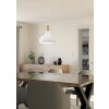 Illuminazione Eglo SABINAR Lampadario a sospensione Bianco