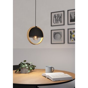 Illuminazione Eglo CALLOW Lampadario a sospensione Marrone, Nero, 1-Luce