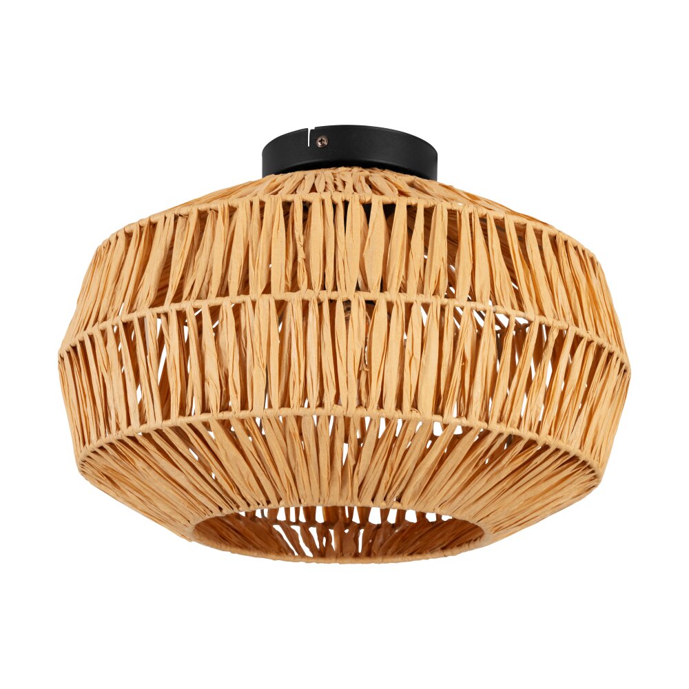 Illuminazione Eglo SHELDON Plafoniera Nero, 1-Luce main product photo