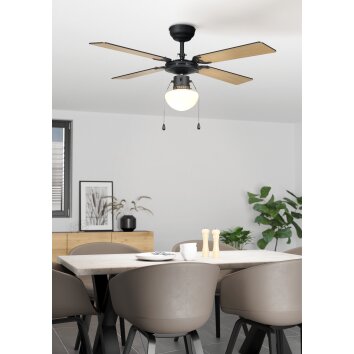 Illuminazione Eglo FORTALEZA Lampada con ventilatore Nero