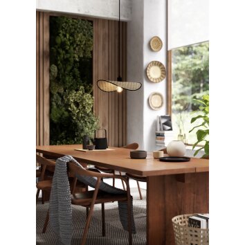 Illuminazione Eglo MARYWELL Lampadario a sospensione Nero, 1-Luce