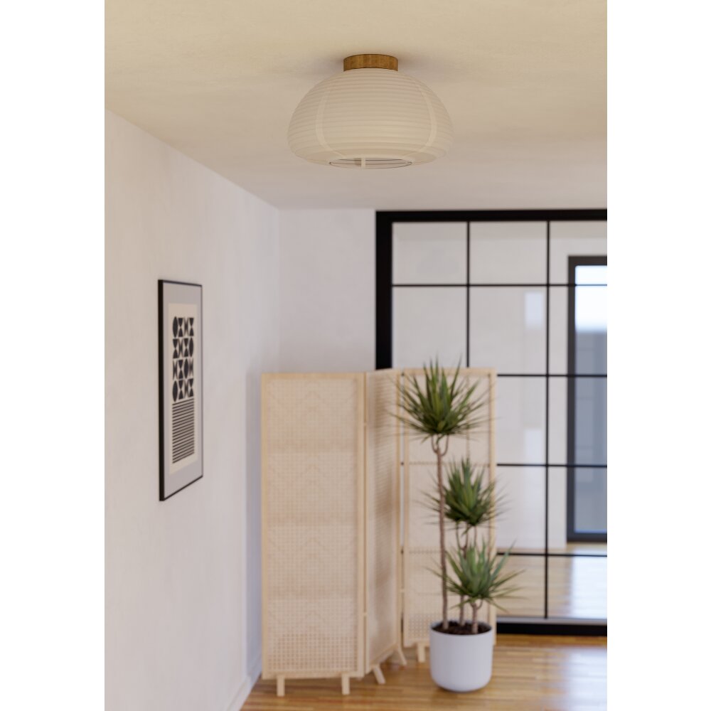Illuminazione Eglo SUMMERHILL Plafoniera Marrone, 1-Luce main product photo