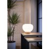 Illuminazione Eglo SUMMERHILL Lampada da tavolo Marrone, 1-Luce
